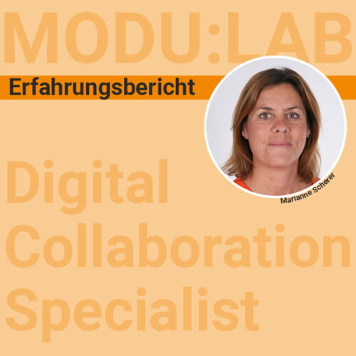 Symbolbild zum Blogbeitrag, in welchem Marianne Scherrer über ihre erste Praxiserfahrungen mit MODU:LAB Digital Collaboration Sepecialist spricht