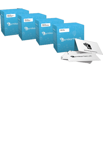 Produktbild der Lernkarten Wirtschaft und Gesellschaft